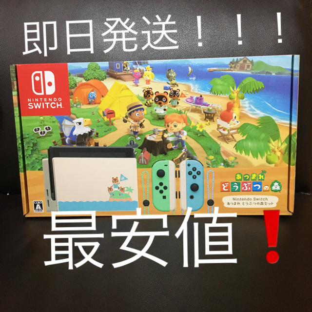 Nintendo Switch どうぶつの森同梱版