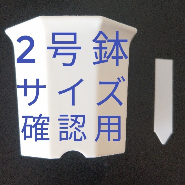 ◎100枚◎ 小 選べるカラー ラインラベル 園芸ラベル カラーラベル ハンドメイドのフラワー/ガーデン(その他)の商品写真