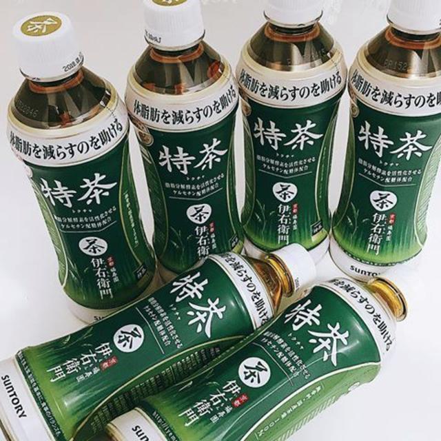 値下げ 訳あり特価　サントリー 特茶 500ml（特保）2箱（計48本） 食品/飲料/酒の飲料(茶)の商品写真