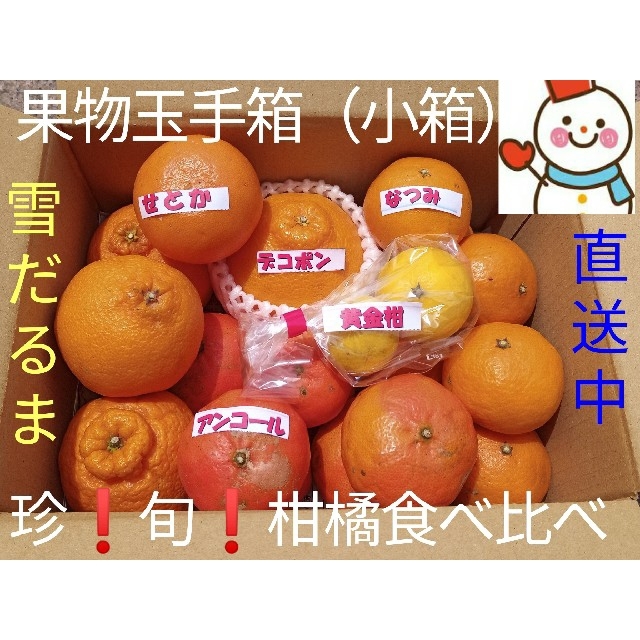 珍果物玉手箱（小箱）♥旬の柑橘味比べ♥雪だるまから直送 食品/飲料/酒の食品(フルーツ)の商品写真