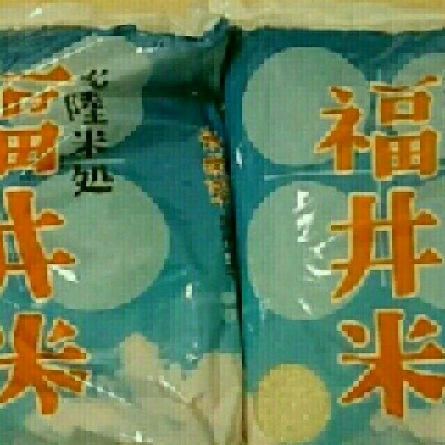 お米10kg 食品/飲料/酒の食品(米/穀物)の商品写真