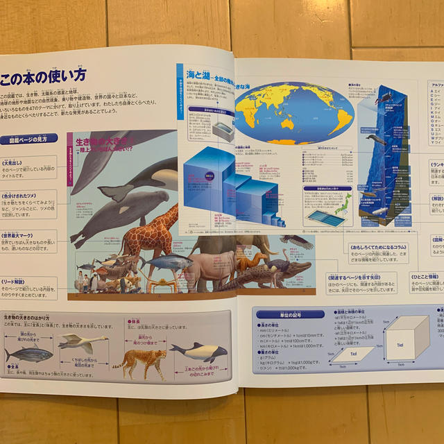 小学館(ショウガクカン)のくらべる図鑑 エンタメ/ホビーの本(絵本/児童書)の商品写真