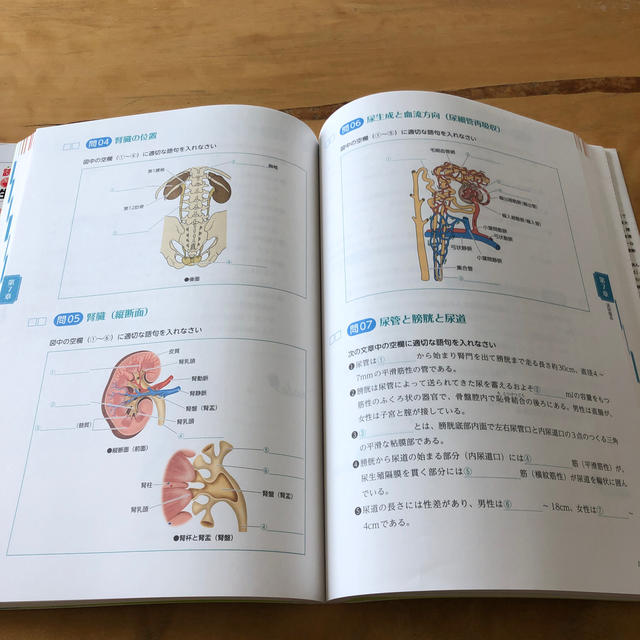 解いてわかる解剖生理学 問題集 エンタメ/ホビーの本(健康/医学)の商品写真