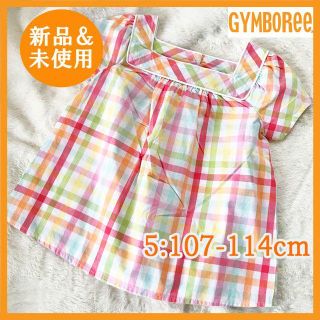 ジンボリー(GYMBOREE)の新品未使用 ジンボリー レインボーチェック半袖カットソー 女の子 115cm 5(Tシャツ/カットソー)