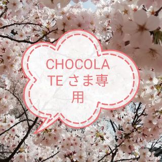 CHOCOLATE さま専用品グラント☆イーONE'S　アームガードルL L(手袋)