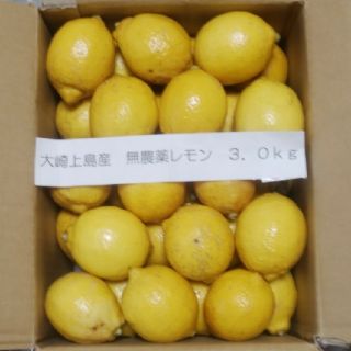 広島県大崎上島産無農薬レモン3.0kg(フルーツ)