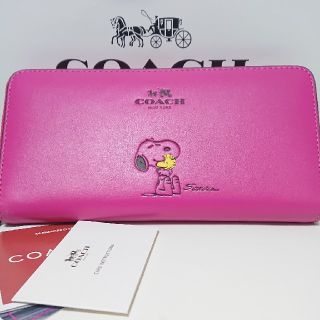 コーチ(COACH)のCOACH スヌーピー 最終値下げ(財布)