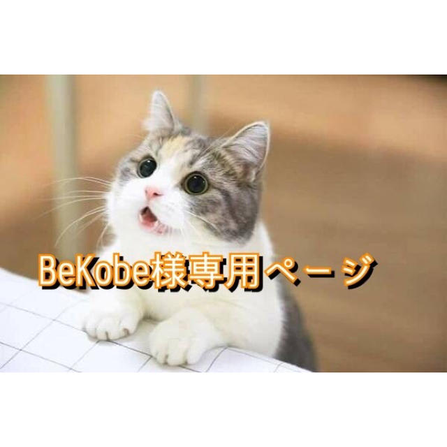 BeKobe様専用ページですの+spbgp44.ru