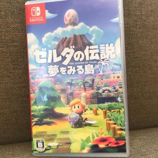 ニンテンドースイッチ(Nintendo Switch)のカバさん専用(家庭用ゲームソフト)