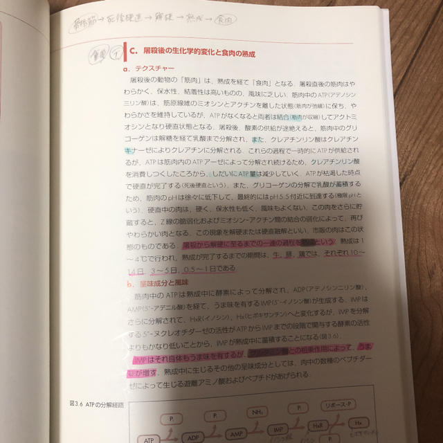 食品学各論 食べ物と健康 第２版 エンタメ/ホビーの本(科学/技術)の商品写真