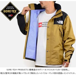 ザノースフェイス(THE NORTH FACE)のTHE NORTH FACE 19FW NP1135  超美品(マウンテンパーカー)