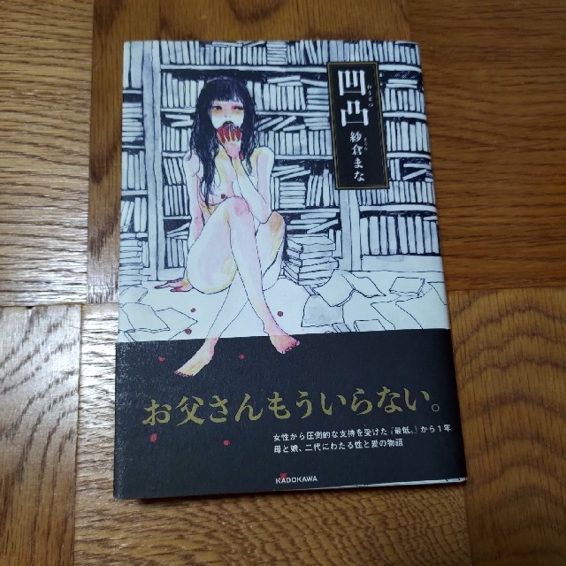 凹凸 エンタメ/ホビーの本(文学/小説)の商品写真
