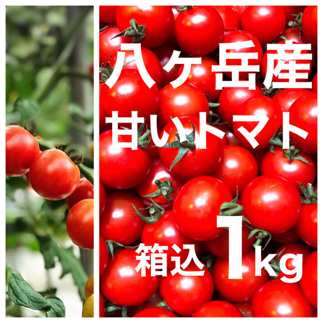 八ヶ岳(長野県) 産 ミニトマト 箱込約1kg  味濃いめ　免疫力UPに 食品/飲料/酒の食品(野菜)の商品写真