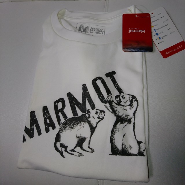 MARMOT(マーモット)のMarmot 半袖 Tシャツ メンズのトップス(Tシャツ/カットソー(半袖/袖なし))の商品写真