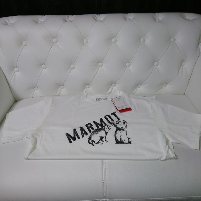 MARMOT(マーモット)のMarmot 半袖 Tシャツ メンズのトップス(Tシャツ/カットソー(半袖/袖なし))の商品写真
