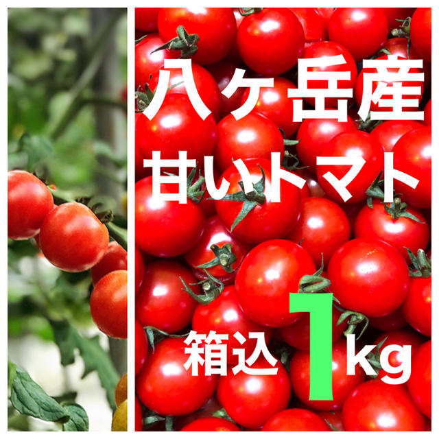 八ヶ岳(長野県) 産 ミニトマト 箱込約1kg  味濃いめ　免疫力UPに 食品/飲料/酒の食品(野菜)の商品写真