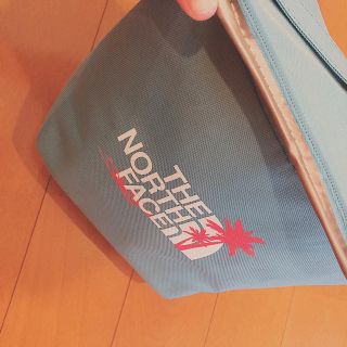 ザノースフェイス(THE NORTH FACE)のTHE NORTH FACE〜クーラーBOX〜(その他)