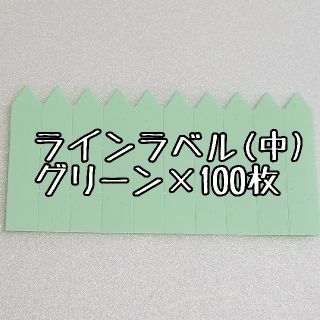 ◎100枚◎ 小 選べるカラー ラインラベル 園芸ラベル カラーラベル(その他)