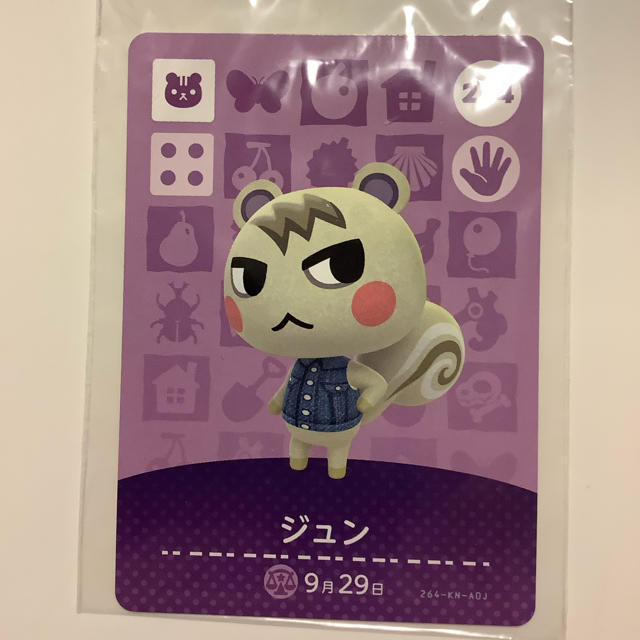 amiibo どうぶつの森　ジュン　新品