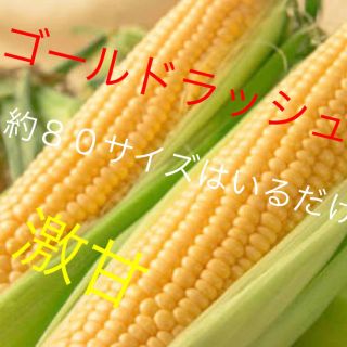 激甘超人気ゴールドラッシュとうもろこし約８０サイズ入るだけ6月発送予定(野菜)