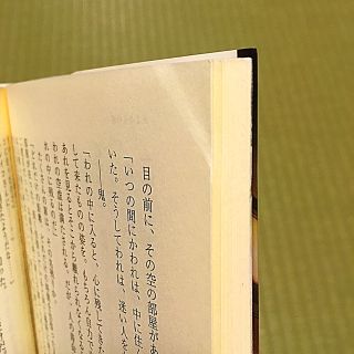 夏目友人帳 既刊全巻35冊セット 1〜29巻+ 小説3冊 + 関連本3冊+α