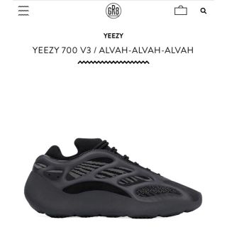 アディダス(adidas)のadidas yeezy 700 V3  正規店購入品　29 cm(スニーカー)