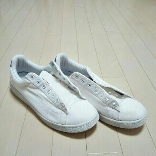 ヴァンズ(VANS)のバンズ　白　スニーカー(スニーカー)