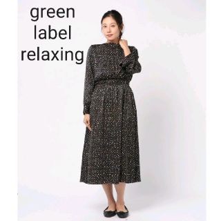 ユナイテッドアローズグリーンレーベルリラクシング(UNITED ARROWS green label relaxing)の【状態良好】グリーンレーベルリラクシング　ワンピース　柄　ブラック　フリーサイズ(ロングワンピース/マキシワンピース)