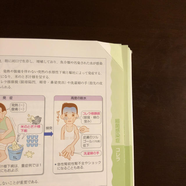 病気がみえる 6の通販 by もりりんもんろー's shop|ラクマ 病気がみえる 6の通販 by もりりんもんろー's shop|ラクマ