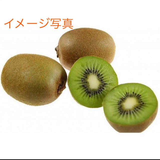 愛媛グリーンキウイ 1.3kg～1.4kg 食品/飲料/酒の食品(フルーツ)の商品写真