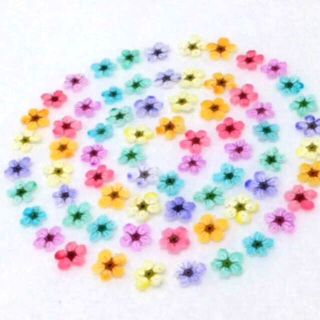 82 押し花セット✿即日発送♡ ハンドメイド 素材 小花(ドライフラワー)