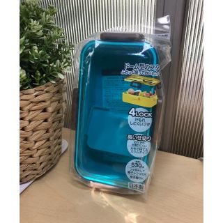 スケーター ふんわり盛れる ドーム型フタ 弁当箱 530ml ターコイズブルー(弁当用品)