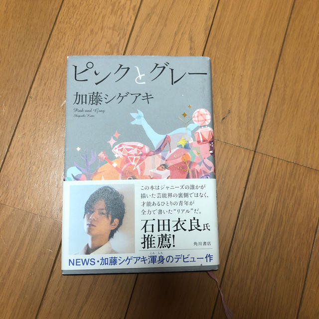 角川書店(カドカワショテン)のピンクとグレ－ エンタメ/ホビーの本(その他)の商品写真