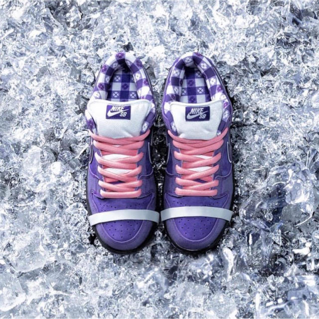 NIKE(ナイキ)のNike SB × CONCEPTS “PURPLE LOBSTER” メンズの靴/シューズ(スニーカー)の商品写真