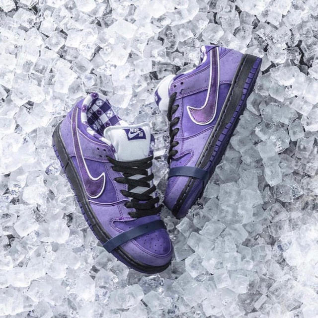 NIKE(ナイキ)のNike SB × CONCEPTS “PURPLE LOBSTER” メンズの靴/シューズ(スニーカー)の商品写真