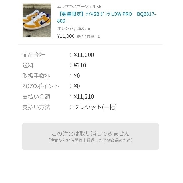 NIKE DUNK ダンク SB　26㎝