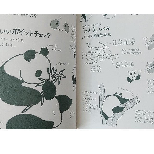 どうぶつえんにいこう エンタメ/ホビーの本(絵本/児童書)の商品写真