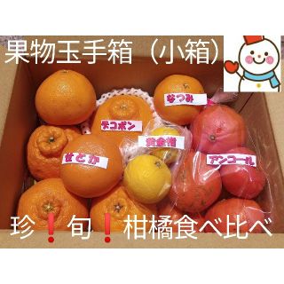 珍果物玉手箱（小箱）♥旬の柑橘味比べ♥雪だるまから直送(フルーツ)