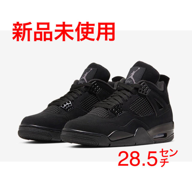 NIKE(ナイキ)のNike air Jordan 3 Black cat 28.5 メンズの靴/シューズ(スニーカー)の商品写真