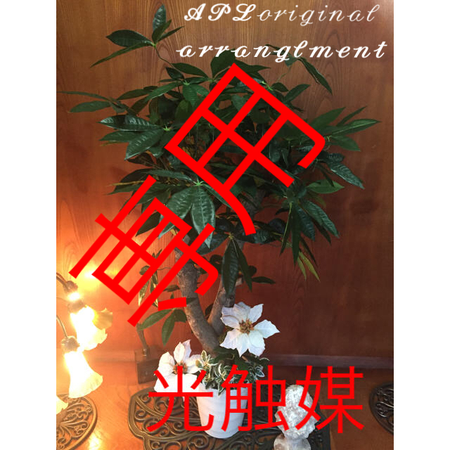 光触媒 人工観葉植物 太パキラ13383