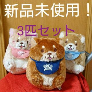 【新品未使用】忠犬もちしば コロコロころり〜ん ぬいぐるみ 3匹セット(キャラクターグッズ)