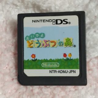 ニンテンドーDS(ニンテンドーDS)のおいでよ  どうぶつの森   DS(携帯用ゲームソフト)