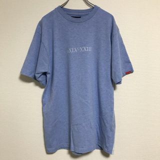 アップルバム(APPLEBUM)の専用出品 APPLEBUM アップルバム パステルカラー Tシャツ (Tシャツ/カットソー(半袖/袖なし))