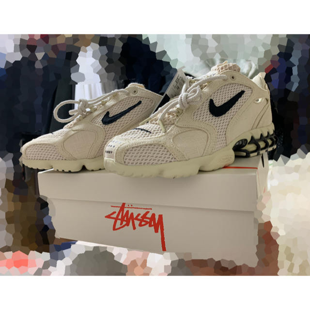 メンズNIKE stussy