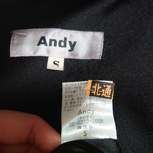 Andy(アンディ)のAndy アンディ ワンピース レディースのワンピース(ミニワンピース)の商品写真