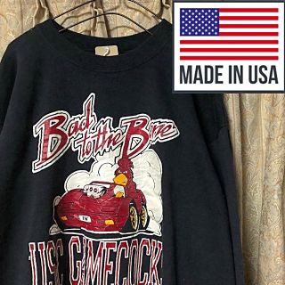 USC GAMECOCKS ヴィンテージ  スウェット アメリカ古着(スウェット)