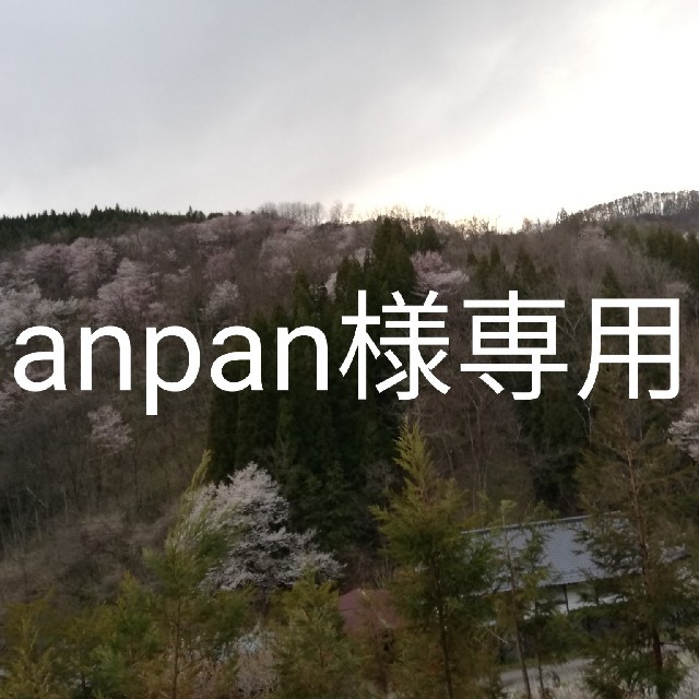 anpan様専用 - husnususlu.com