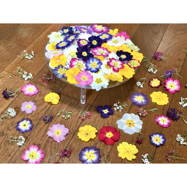 お花屋さんが作った春色プリムラ50冠➕アリッサム50冠の山盛り100冠です‼️ ハンドメイドのフラワー/ガーデン(ドライフラワー)の商品写真