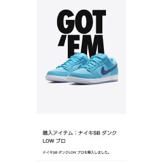 ナイキ(NIKE)のナイキ ダンク 27cm(スニーカー)