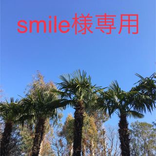 smile様専用(ひざ丈ワンピース)